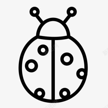 瓢虫动物甲虫图标图标