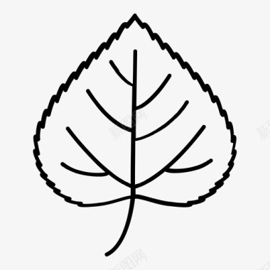 桦树树叶轮廓图标图标