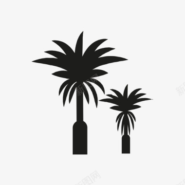 棕榈树印度的东西图标图标