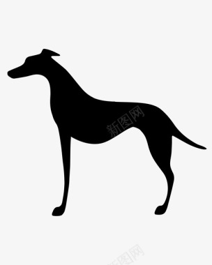 灰狗动物品种图标图标