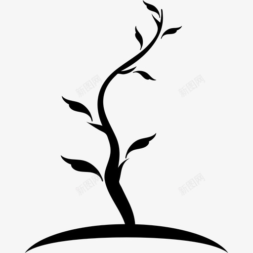 树形纤细幼嫩的树干树叶稀少图标svg_新图网 https://ixintu.com 大自然 幼嫩的树干 树叶稀少 树形纤细 树的偶像