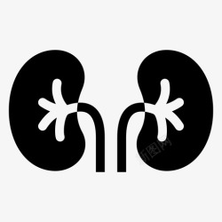 排泄系统肾脏尿液已售图标高清图片