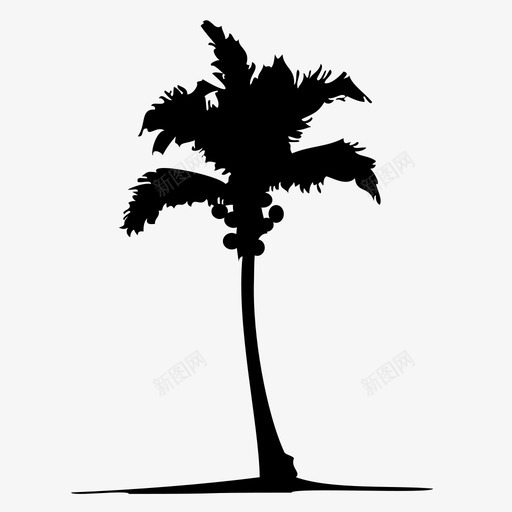 棕榈树沙滩自然图标svg_新图网 https://ixintu.com 加勒比海 岛屿 景观 树木 棕榈树 椰子 沙滩 海滩 生态 自然