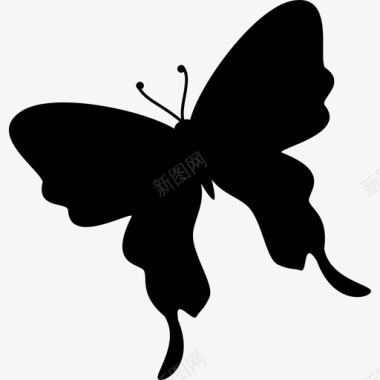 蝴蝶黑色轮廓形状从俯视图向左旋转动物蝴蝶图标图标