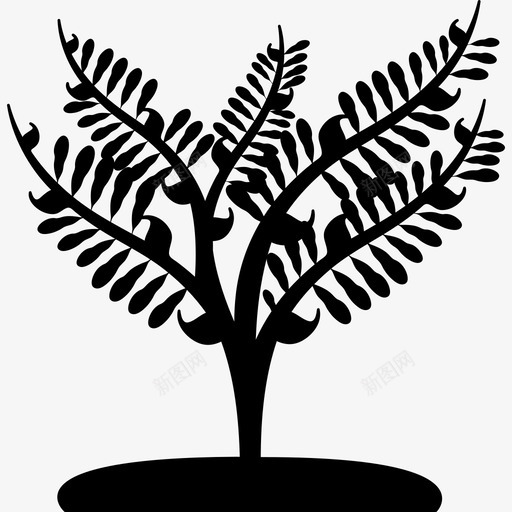 大植物就像一棵小树大自然树的图标svg_新图网 https://ixintu.com 大植物就像一棵小树 大自然 树的图标
