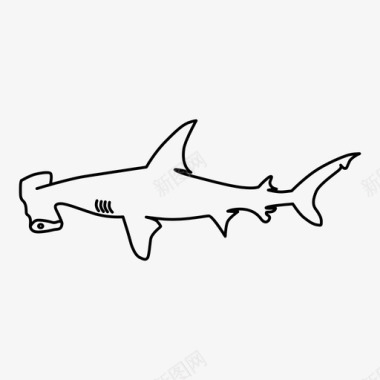 锤头鲨海海洋图标图标