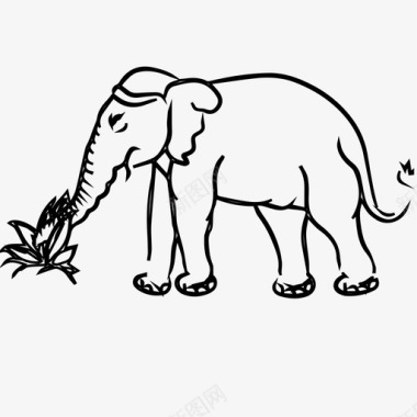 大象吃站立草原图标图标