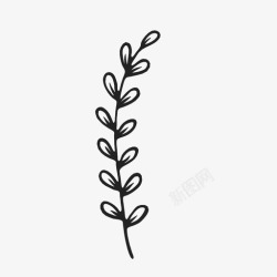 月桂枝月桂枝植物自然图标高清图片