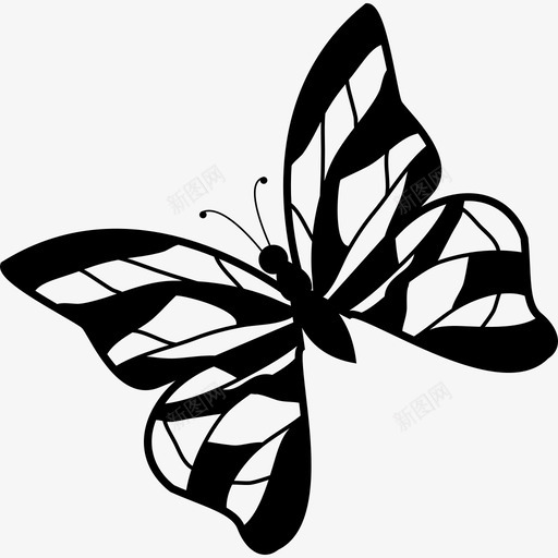 带条纹的蝴蝶图案动物蝴蝶图标svg_新图网 https://ixintu.com 动物 带条纹的蝴蝶图案 蝴蝶