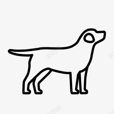 拉布拉多动物狗图标图标