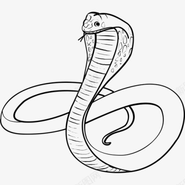 蟒蛇运输蛇分析爬行动物图标图标