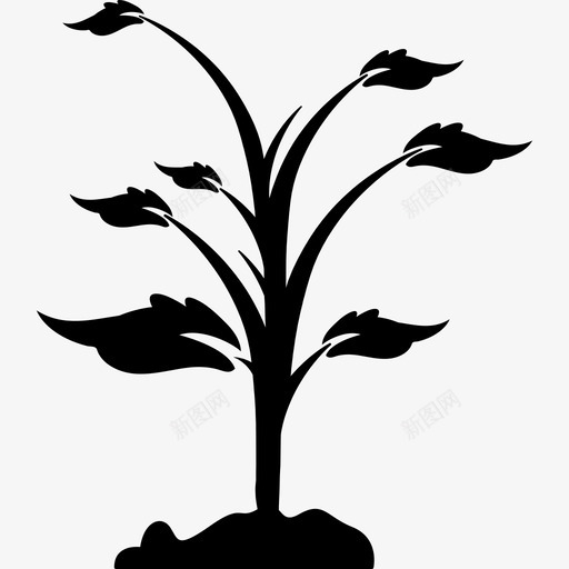 植物在地上自然树的图标svg_新图网 https://ixintu.com 树的图标 植物在地上 自然