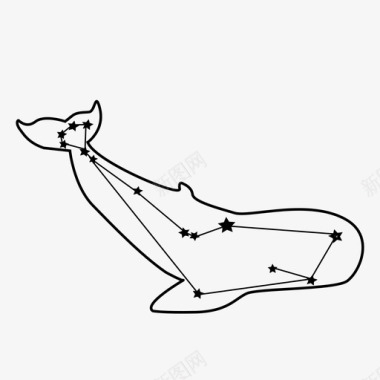 鲸鱼座鲸鱼水下动物图标图标