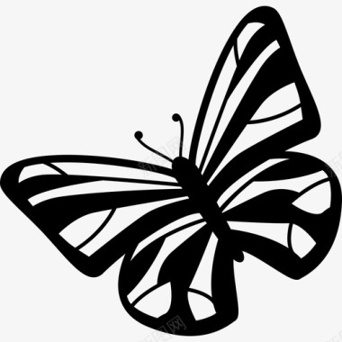 蝴蝶变种动物蝴蝶图标图标