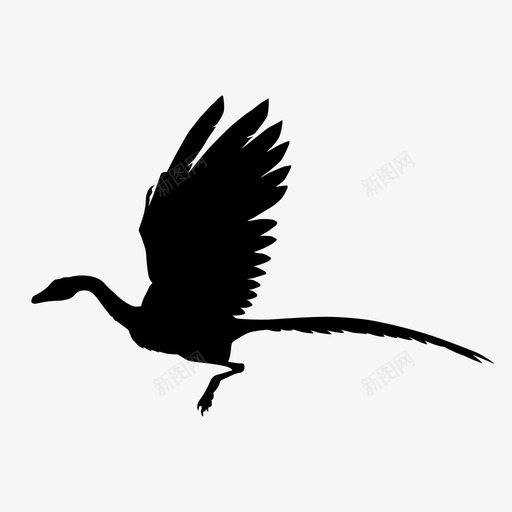 始祖鸟动物鸟图标svg_新图网 https://ixintu.com 侏罗纪 动物 史前 始祖鸟 恐龙 翅膀 苍蝇 骨头 鸟