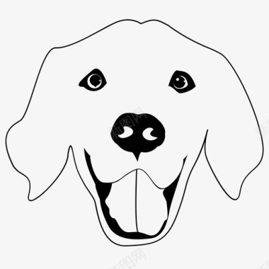 金毛猎犬犬种图标图标