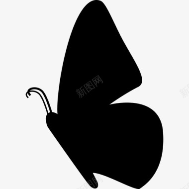 蝴蝶侧视形状动物蝴蝶图标图标