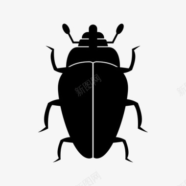 甲虫虫子小动物图标图标