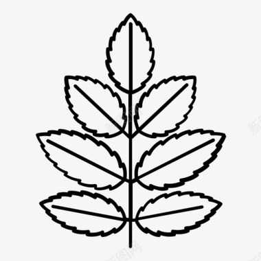 灰叶树对称图标图标