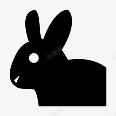 兔子动物和鸟类材料标图标图标