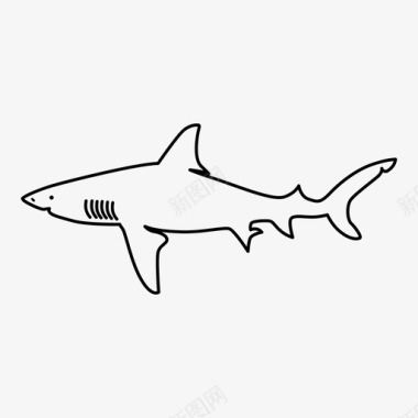 牛鲨已售无图标图标