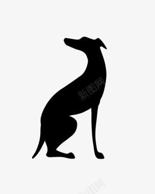 灰狗品种狗图标图标