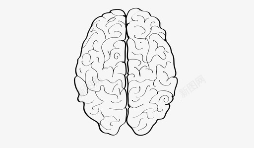 大脑解剖学身体图标svg_新图网 https://ixintu.com 大脑 科学 脑袋 解剖学 诺德里奇 贝恩斯 身体