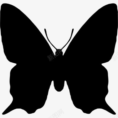 蝴蝶昆虫动物形状动物动物王国图标图标