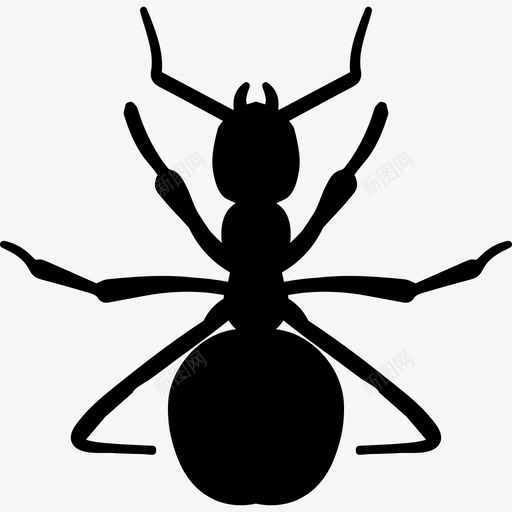 红蚂蚁形状动物动物王国图标svg_新图网 https://ixintu.com 动物 动物王国 红蚂蚁形状