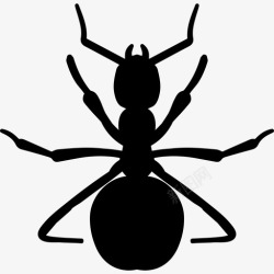 蚂蚁王国红蚂蚁形状动物动物王国图标高清图片