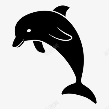 海豚表演海洋图标图标