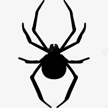 蜘蛛节肢动物轮廓动物动物王国图标图标