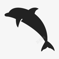 海豚手机海豚度假潮汐图标高清图片
