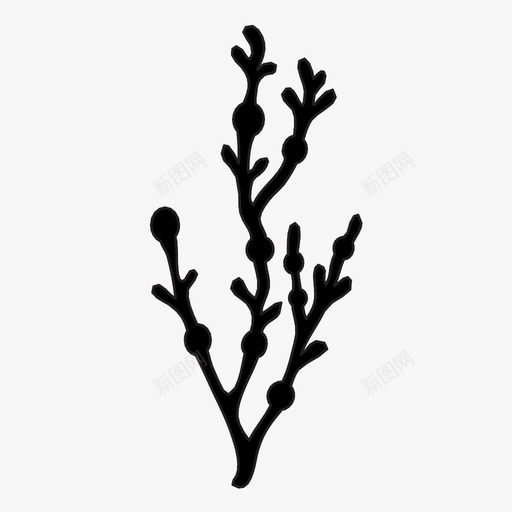 海藻珊瑚食用图标svg_新图网 https://ixintu.com 植物 海洋 海藻 珊瑚 生长 绿色 食用