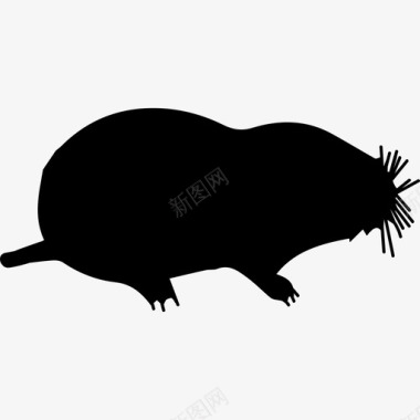 鼹鼠哺乳动物动物形状动物动物王国图标图标