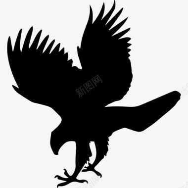 鹰鸟动物形状动物动物王国图标图标