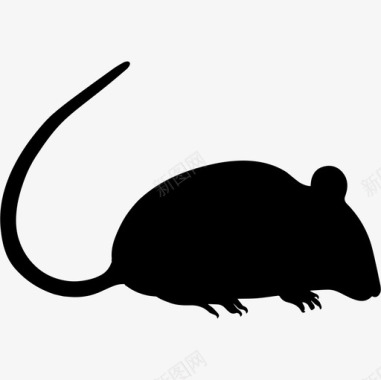 老鼠的轮廓动物动物王国图标图标