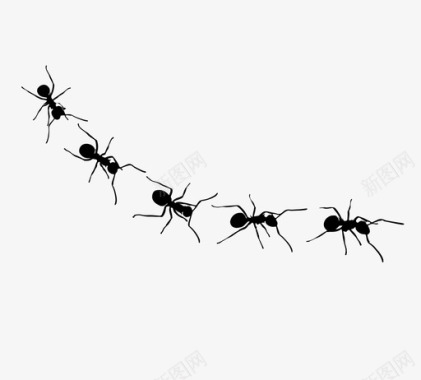 蚂蚁踪迹昆虫图标图标