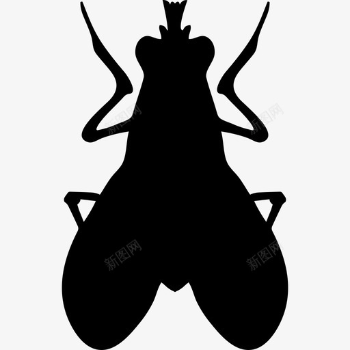 吹蝇昆虫形状动物动物王国图标svg_新图网 https://ixintu.com 动物 动物王国 吹蝇昆虫形状