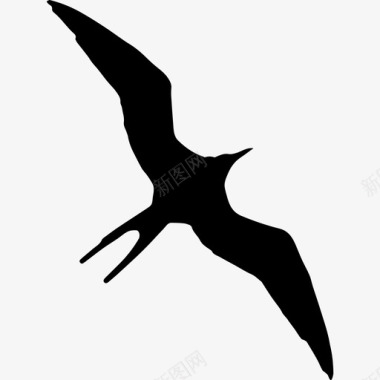 军舰鸟鸟鸟动物形状动物动物王国图标图标