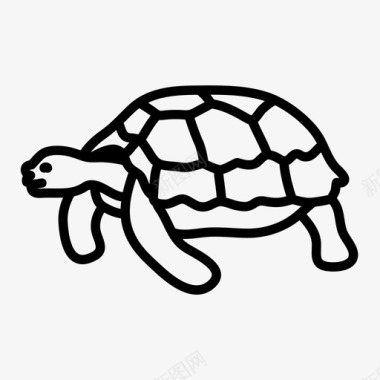 乌龟动物卵层图标图标
