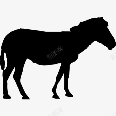 马的轮廓动物动物王国图标图标
