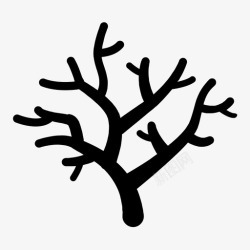 树鹿角珊瑚无脊椎动物海洋图标高清图片
