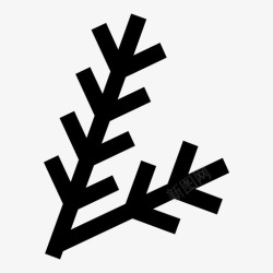 悬挂果实树枝冷杉花图标高清图片