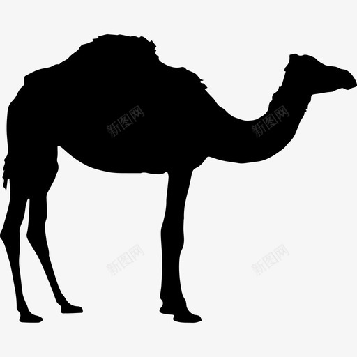 骆驼剪影动物动物王国图标svg_新图网 https://ixintu.com 动物 动物王国 骆驼剪影
