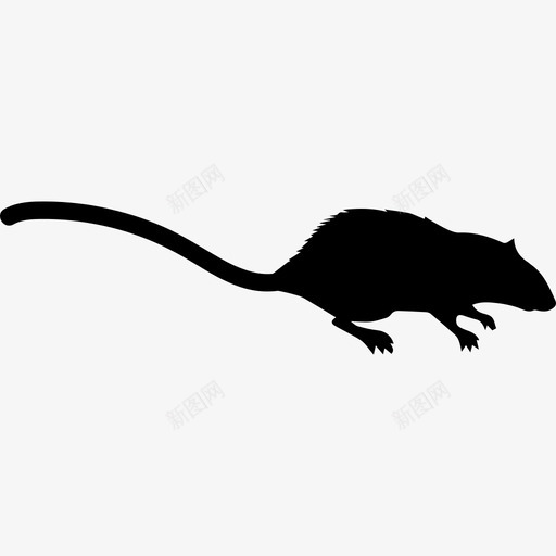 老鼠哺乳动物动物形状动物动物王国图标svg_新图网 https://ixintu.com 动物 动物王国 老鼠哺乳动物动物形状