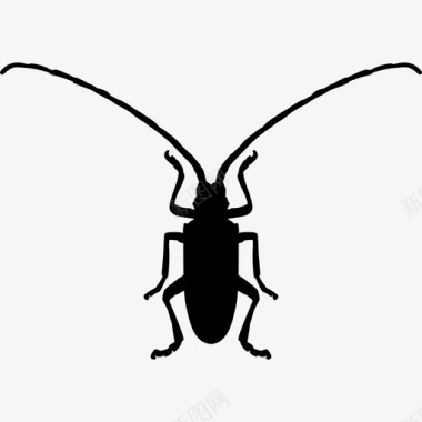 真菌甲虫虫形动物动物王国图标图标