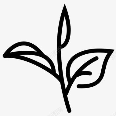 茶叶植物抹茶图标图标