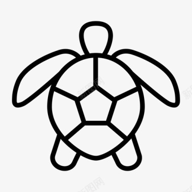 海龟玩具乌龟图标图标