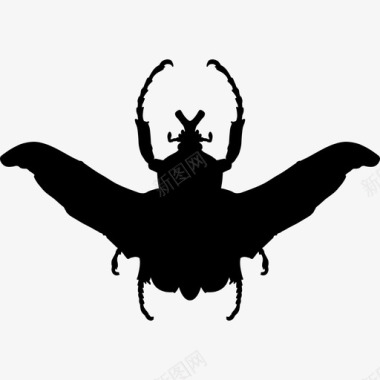 牛甲虫昆虫动物外形动物动物王国图标图标